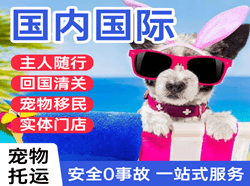克拉玛依古海机场托运国际宠物托运 【国
